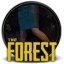 The Forest