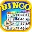 Praia Bingo