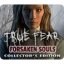 True Fear: Forsaken Souls
